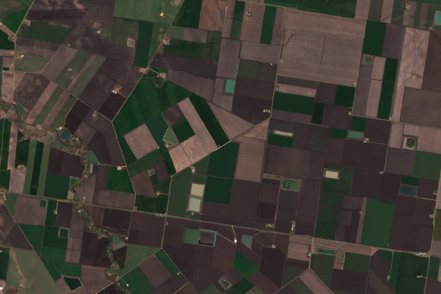 Natural-color satellite image, 15 by 10 kilometers: cropland, on-farm water storages and the North Branch of the Condamine River at Nangwee, on the Darling Downs (Queensland, Australia), on September 15, 2025.