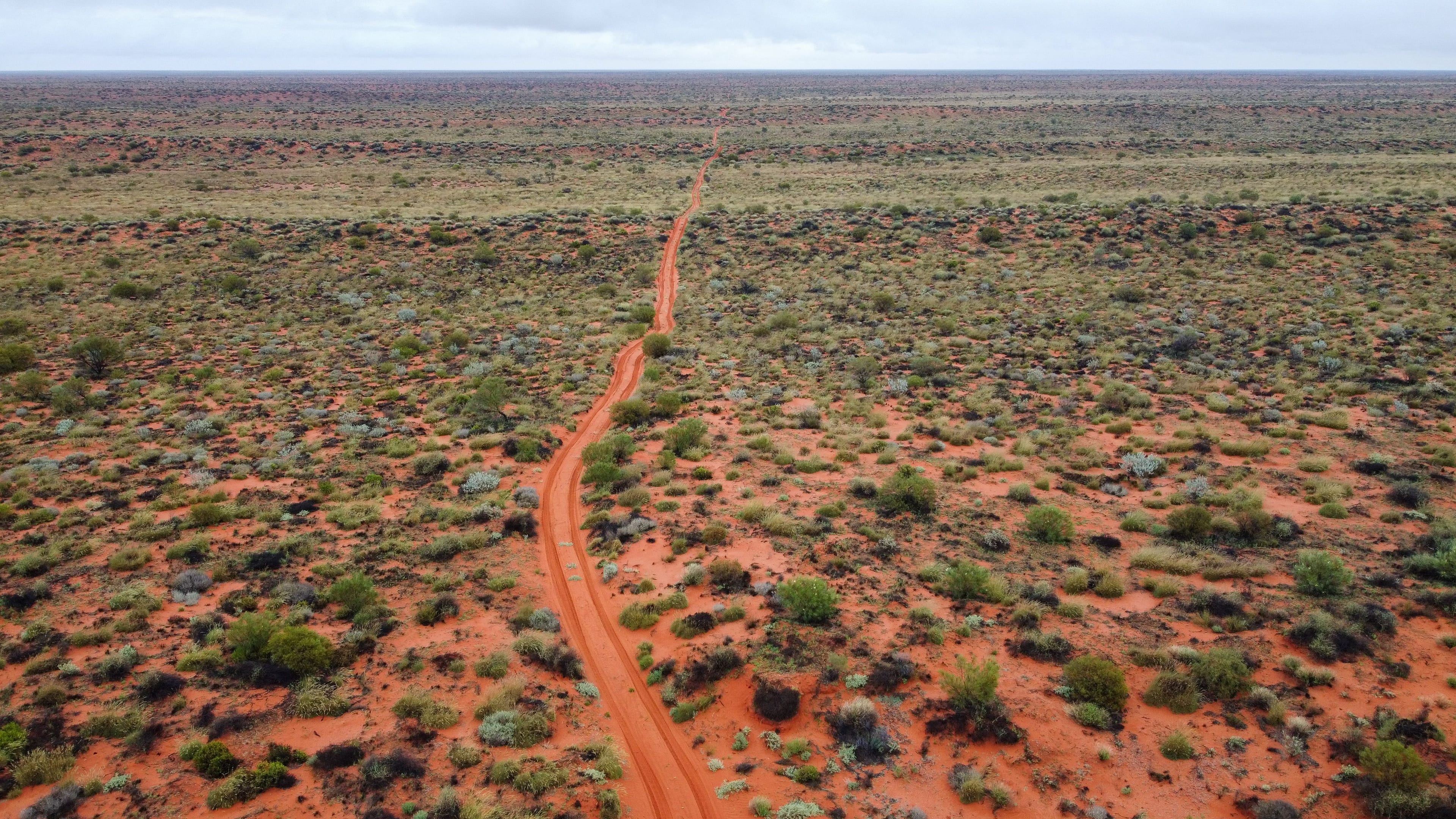 Vista aérea de una huella de tierra roja que cruza una llanura de arbustos y pastos nativos hasta el horizonte, en el interior de Australia, bajo cielo cubierto.