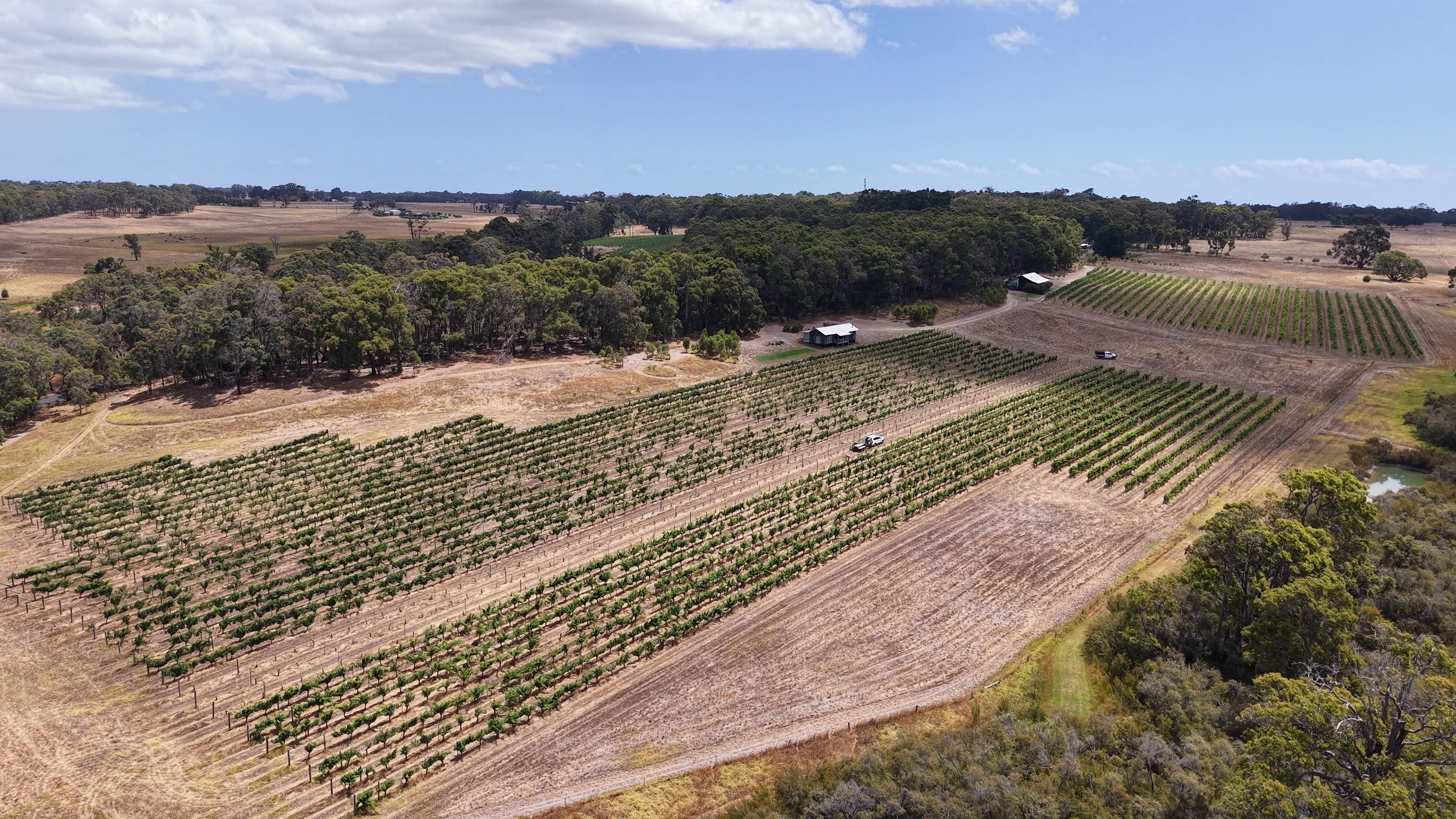 Vista aérea de viñedos plantados en bloques en Australia Occidental, entre potreros secos y monte, con una pequeña construcción de techo blanco y caminos de tierra, bajo cielo azul con nubes.