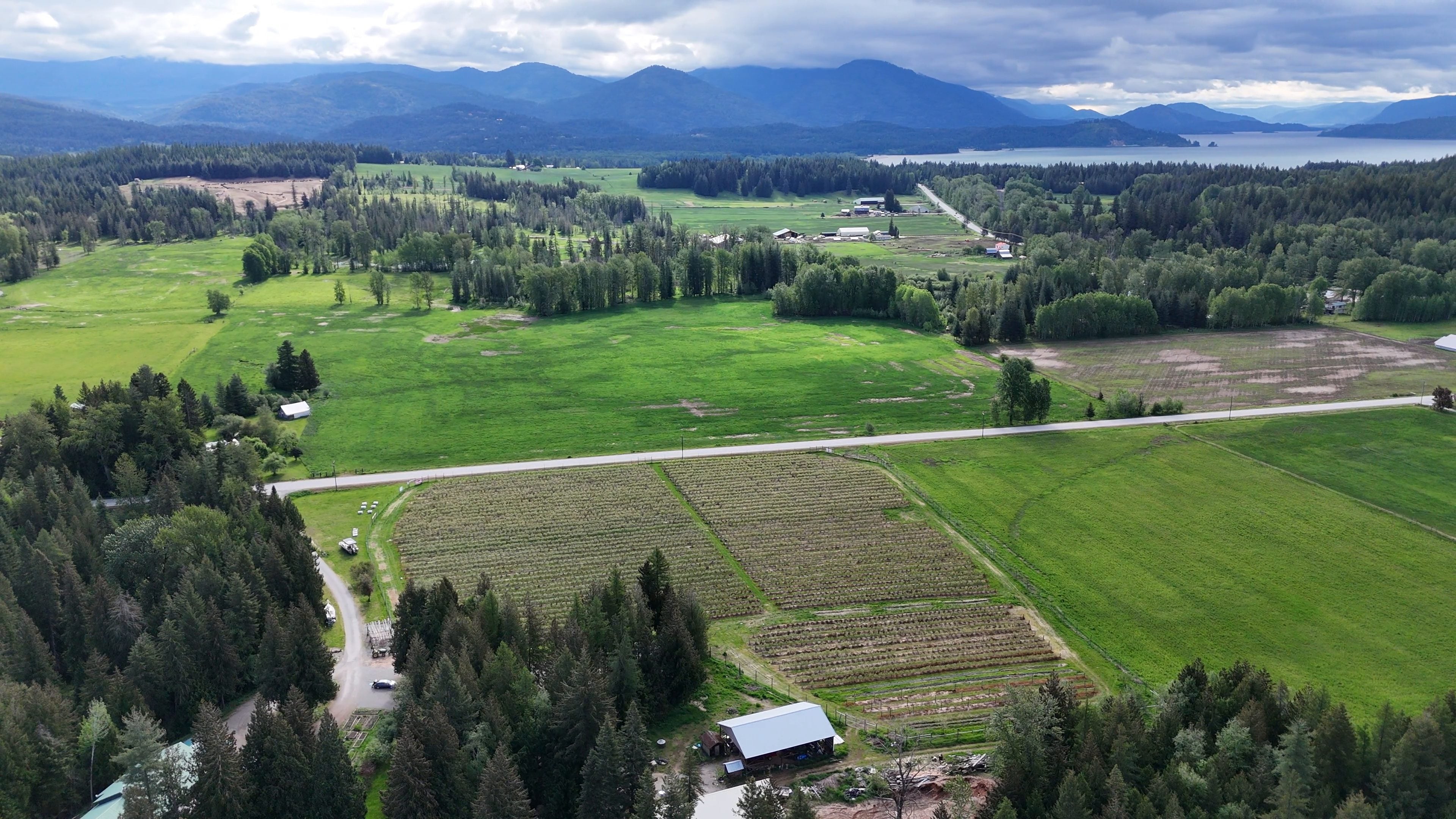 Aerial view of a farming valley in North Idaho, in the United States: green fields, plots of row crops, a rural road, a farm shed and conifer forest, with a lake and mountains beyond, under an overcast sky.